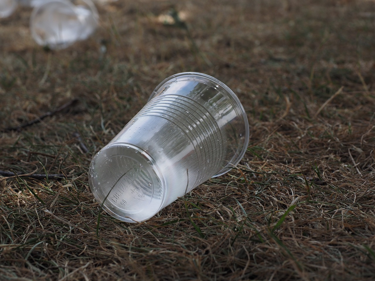 Are Compostable Plastics a Viable Alternative?
